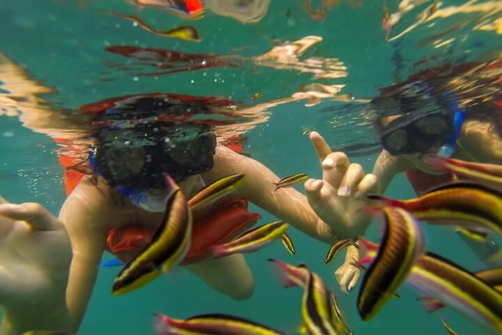 Marietas Islands Day Trip from Puerto Vallarta: Snorkel, Paddleboard & Hidden Beach photo 6