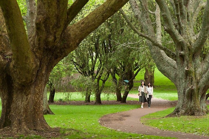 Half-Day Auckland Sightseeing: Mount Eden, Cornwall Park & Mission Bay Guide photo 4