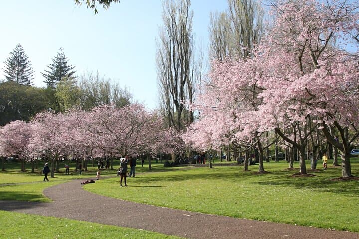 Half-Day Auckland Sightseeing: Mount Eden, Cornwall Park & Mission Bay Guide photo 5