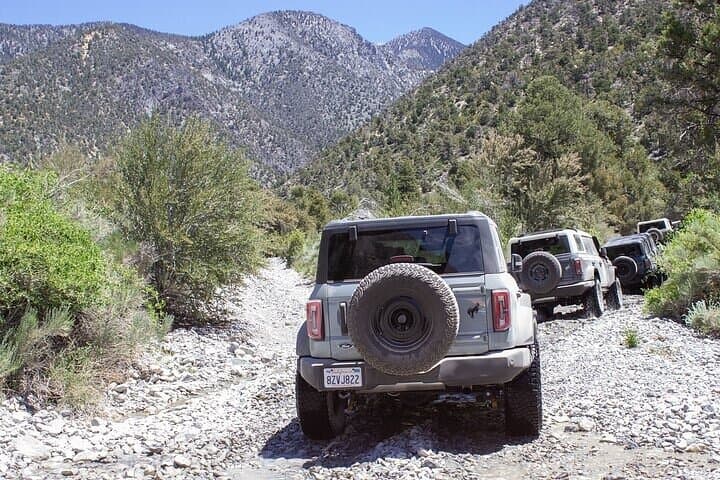 Drive a Bronco to Callville Wash: Lake Mead Off-Road Adventure from Las Vegas
