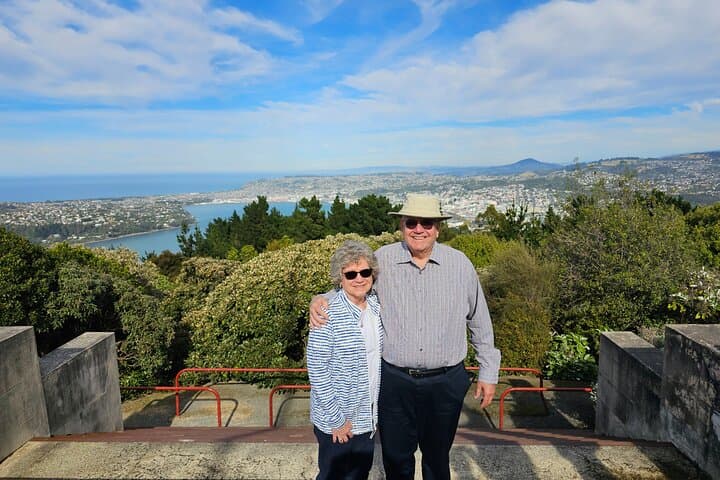 Dunedin Quickie: 1-Hour City Sights Tour from Cruise Ship