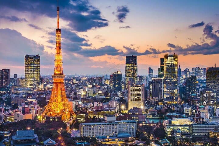 4-Day Private Tour: Tokyo to Mt. Fuji, Hakone, Yokohama & Kamakura photo 4