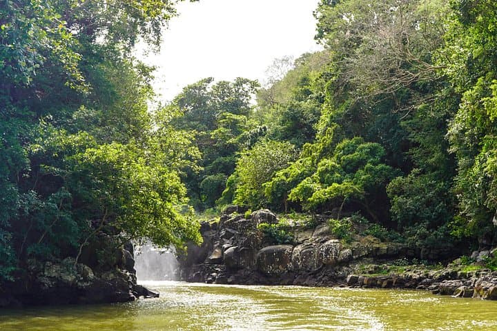 Mauritius Catamaran Cruise to Ile aux Cerfs: Snorkel, Waterfall & BBQ from Trou d'Eau Douce photo 4