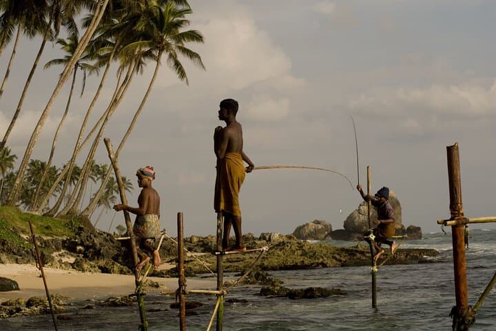 Galle & Bentota Day Tour: Madu River Safari, Turtle Hatchery & Galle Fort from Colombo photo 6