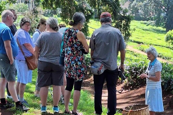 Kiambethu Tea Farm Tour and Lunch: Nairobi Day Trip to Historic Kenyan Tea Estate photo 2