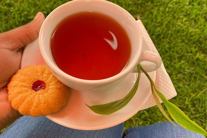 Kiambethu Tea Farm Tour and Lunch: Nairobi Day Trip to Historic Kenyan Tea Estate photo 5
