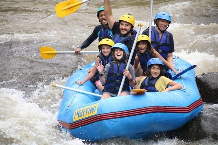 Ayung River Rafting in Ubud: 2–3 Hour Class II–III Adventure Through Bali’s Gorges photo 4