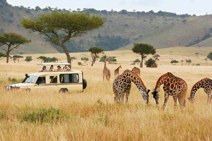 2-Night Tsavo East & West Safari from Mombasa — Game Drives, Lodges & Big Elephants photo 3