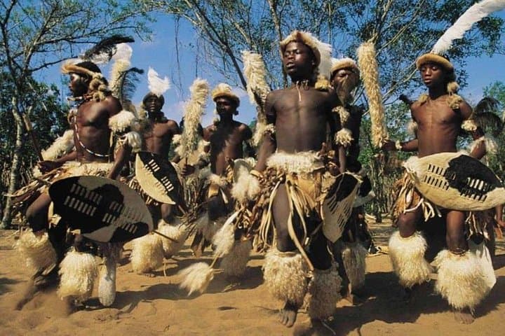Half-Day Safari and Zulu Cultural Experience: Tala & Phezulu from Durban photo 2