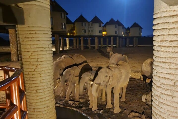 2-Day Taita Hills Salt Lick Private Safari from Mombasa photo 6