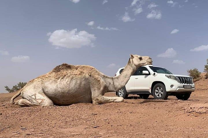 10-Day Private Morocco Desert Tour from Casablanca — Imperial Cities to Sahara photo 4