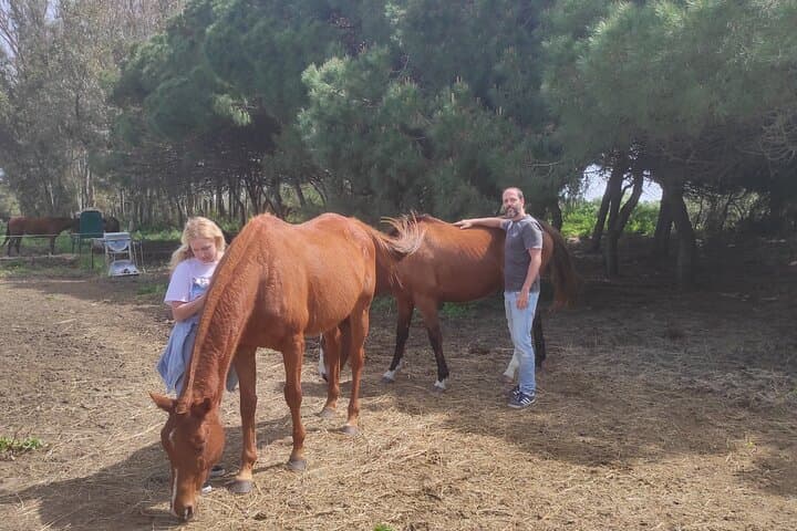 Mindfulness with Free‑Roaming Horses at Zahora’s Mangueta Beach photo 6