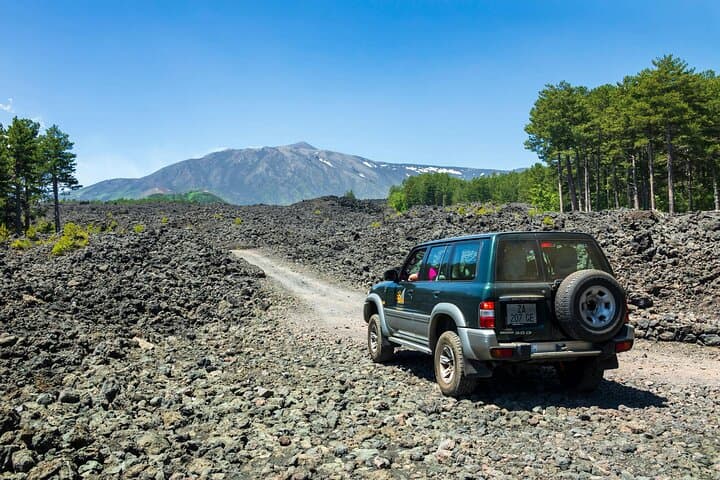 Mt Etna North 4x4 Safari and Wine Tasting — 4‑Hour Tour from Taormina photo 3
