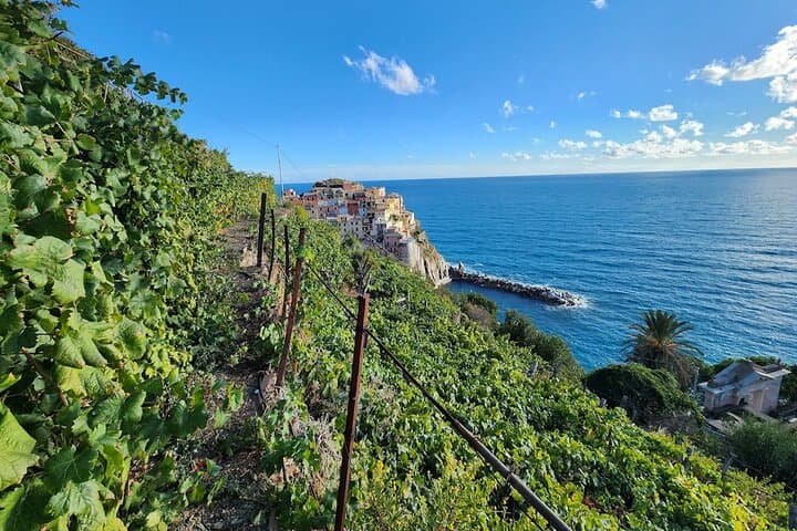 Cinque Terre Boat Cruise and Manarola Vineyard Wine Tasting photo 3