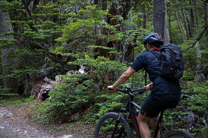 Electric Bike Tour to Beagle Channel Viewpoint from Ushuaia photo 4