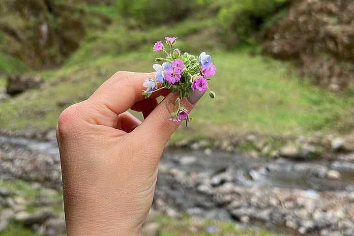 Hiking to Mystic Nisagala Canyon: Yardimli Canyon, Waterfall & Cidir Plain Day Trip photo 4