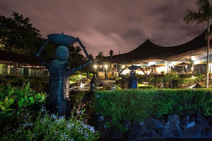 Chiyo Dinner & Safari Cat Dance Show — Nairobi Nightlife and Cultural Feast photo 5