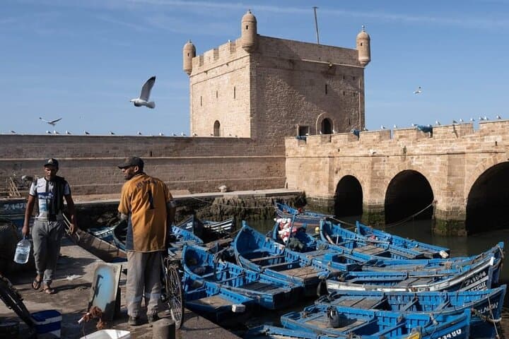 Essaouira Day Trip from Marrakech: Coastal Ramparts, Seafood & Windswept Beaches photo 4
