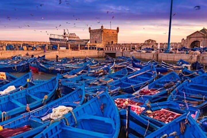 Essaouira Day Trip from Marrakech: Coastal Ramparts, Seafood & Windswept Beaches photo 5