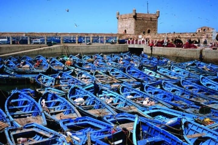 Essaouira Day Trip from Marrakech: Coastal Ramparts, Seafood & Windswept Beaches