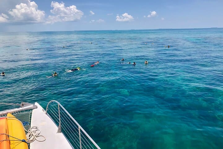 Key West Morning Snorkel Sail: Mimosas, Gourmet Breakfast & Coral Reefs photo 4