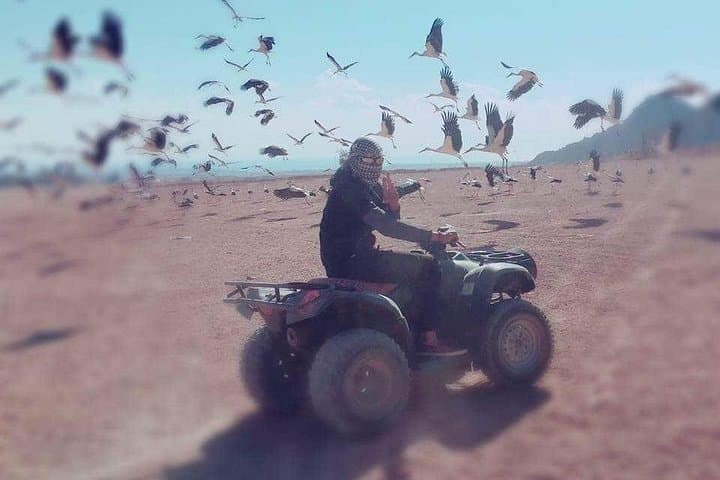 Sinai Desert Quad Bike Safari in Sharm El-Sheikh photo 2