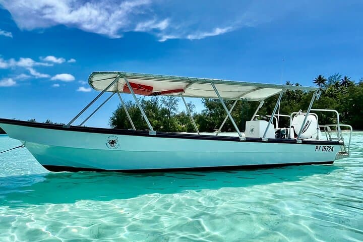 Private Half-Day Lagoon Adventure & Snorkel Tour in Mo'orea photo 3