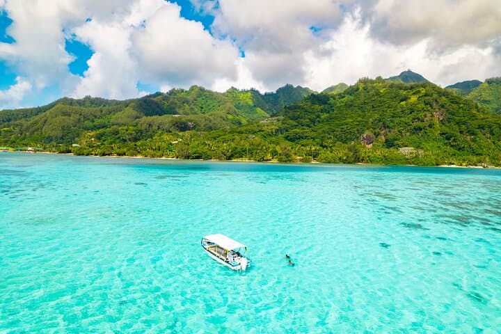 Private Half-Day Lagoon Adventure & Snorkel Tour in Mo'orea