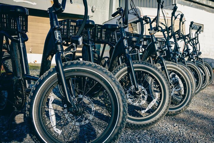 Smith Mountain Lake Weekly E-Bike Rental with Delivery — Explore Moneta & Lake Trails photo 4