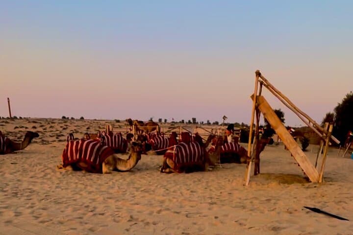 Evening Dubai Desert Safari: Dune Bashing, Camel Ride & BBQ photo 5