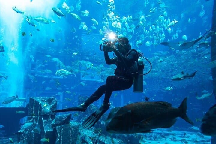 Lost Chambers Aquarium Private Tour: Atlantis Underwater Walkthrough with Pickup in Dubai photo 2