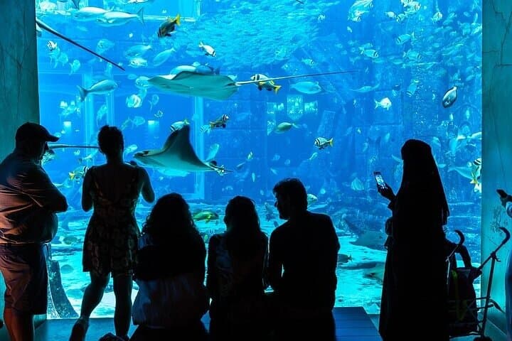 Lost Chambers Aquarium Private Tour: Atlantis Underwater Walkthrough with Pickup in Dubai photo 3