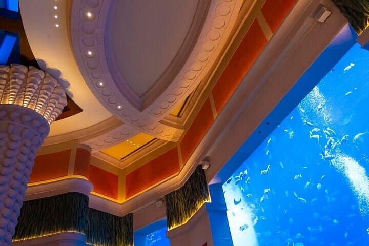 Lost Chambers Aquarium Private Tour: Atlantis Underwater Walkthrough with Pickup in Dubai photo 4