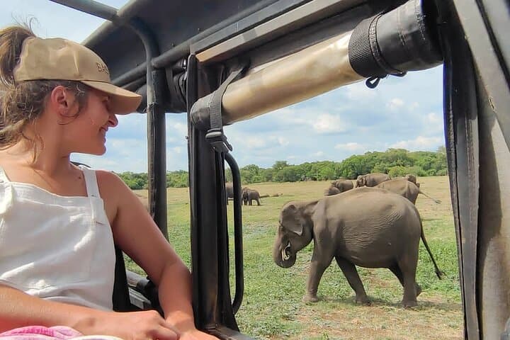 Minneriya Elephant Safari: Private Jeep Tour from Habarana