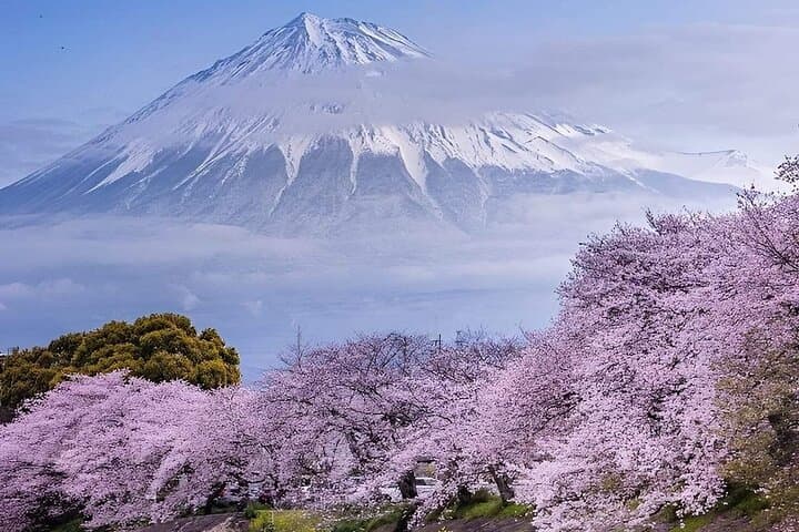 Mt Fuji and Hakone Private Day Tour from Tokyo — 10-Hour Private Car Experience