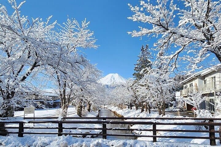 Mt Fuji and Hakone Private Day Tour from Tokyo — 10-Hour Private Car Experience photo 2