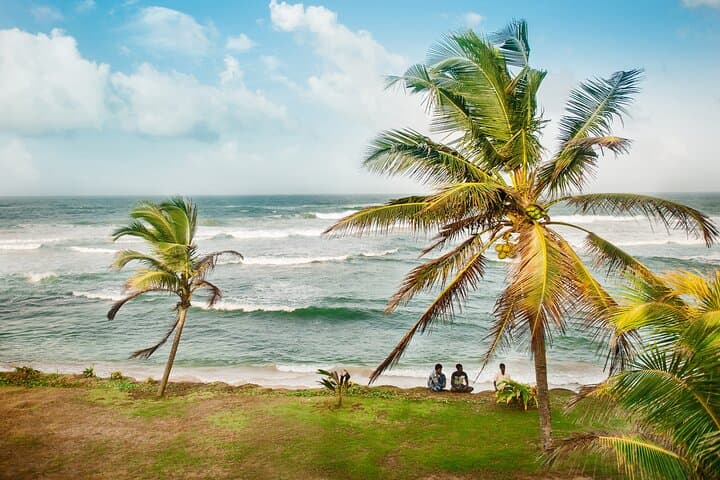 Galle & Bentota Day Tour: Madu River Safari, Turtle Hatchery & Galle Fort from Colombo photo 2