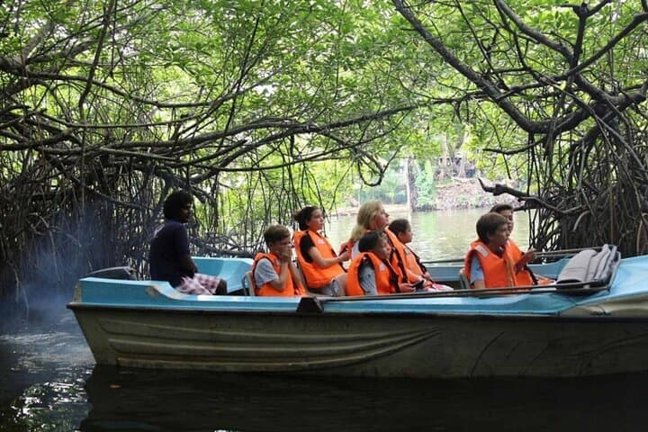 Galle & Bentota Day Tour: Madu River Safari, Turtle Hatchery & Galle Fort from Colombo photo 4