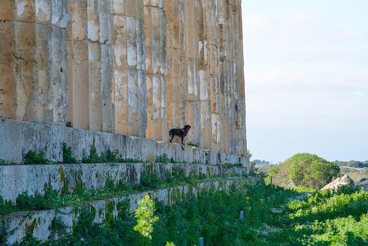 E‑Bike Tour to Selinunte: Temples, Belice Valley & Coastal Dunes photo 3