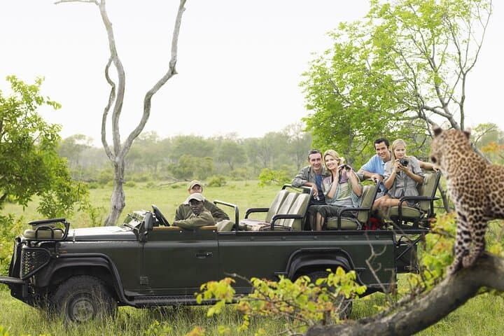 6-Day Cape Town, Victoria Falls & Chobe Safari: Devil's Pool, Winelands & Zambezi Cruise