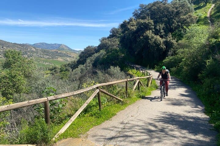 Via Verde de la Sierra: Easy 36km Rail-Trail Cycle from Ronda photo 4