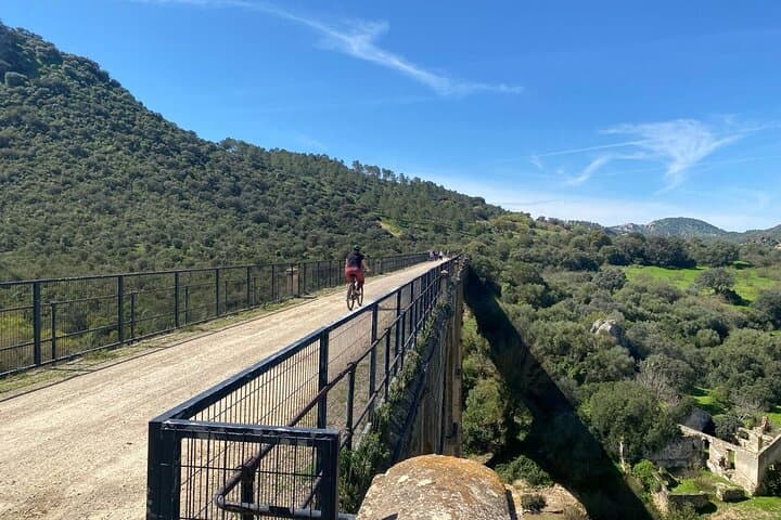 Via Verde de la Sierra: Easy 36km Rail-Trail Cycle from Ronda