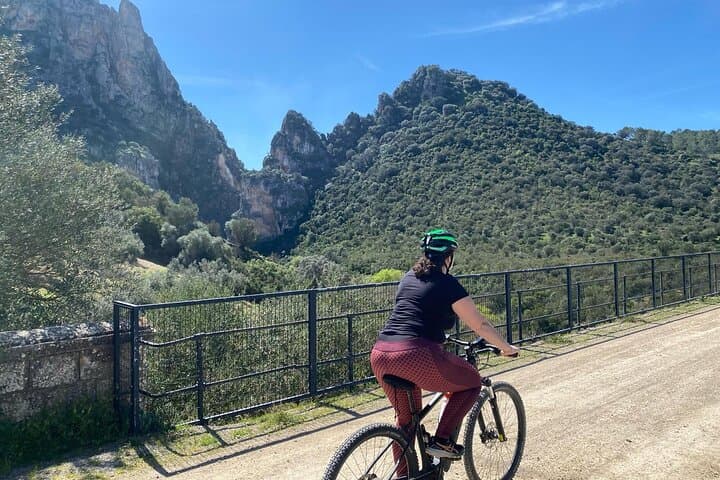 Via Verde de la Sierra: Easy 36km Rail-Trail Cycle from Ronda photo 6