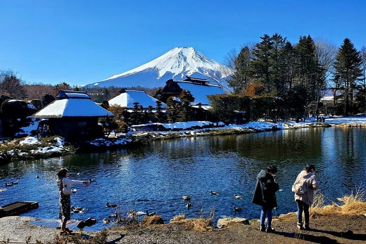 Mount Fuji & Hakone Private Day Trip from Tokyo — Lake Ashi Cruise, Owakudani & Ropeway photo 3