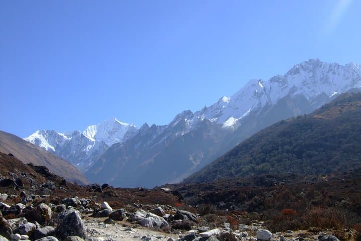 Langtang Valley Trek: 10-Day Kyanjin Gompa & Tserko Ri Adventure photo 6