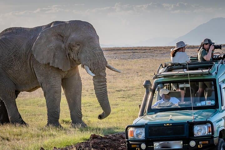7-Day Maasai Mara, Lake Nakuru, Naivasha & Amboseli Safari — Big Five Kenya Adventure