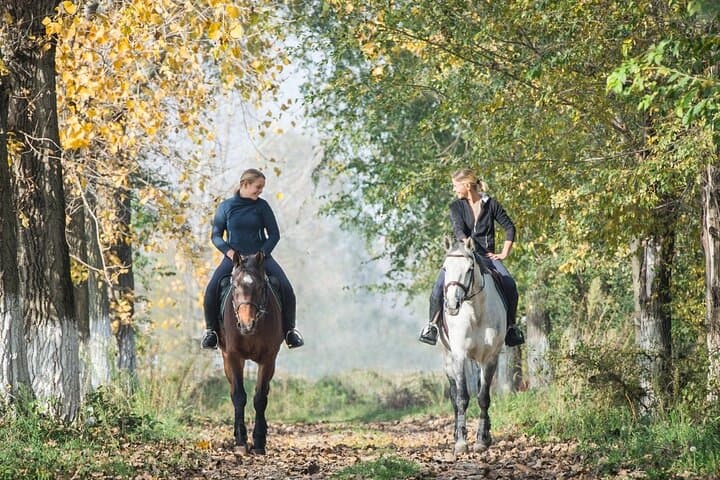 Ride Loire Valley Castles Weekend: Chambord to Chenonceau on Horseback photo 5