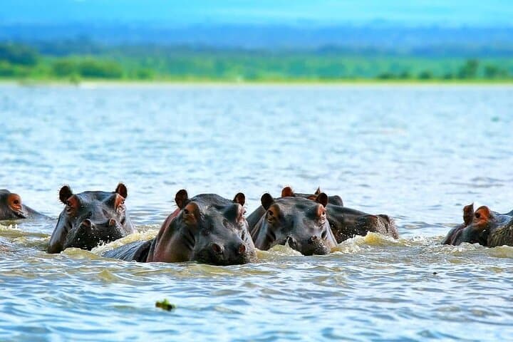 Hell's Gate National Park & Lake Naivasha: Full-Day Biking, Hiking and Boat Ride photo 4