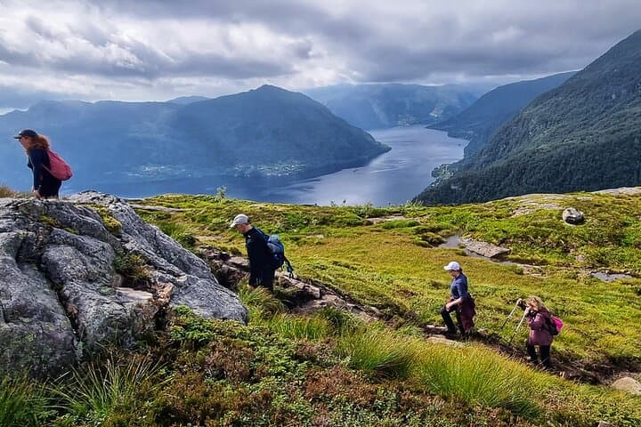 Guided Fjord Hiking from Bergen: Hananipa, Bruviknipa or Arnanipa photo 3