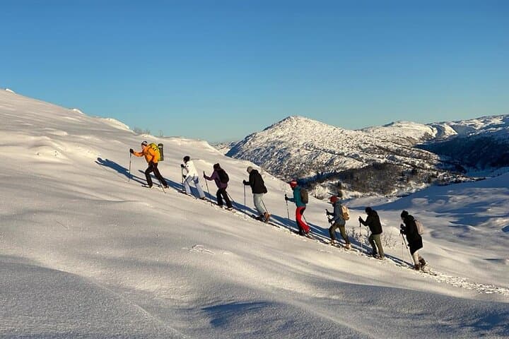 Snowshoe Hiking in Bergen — Guided Winter Tour to Fjord Views photo 5